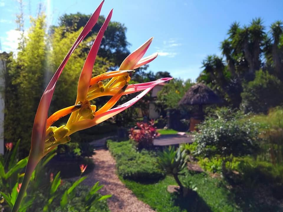 Pousada Paralelo 14 Alto Paraíso de Goiás Exterior foto